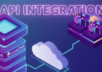 API Integration for faster and error-free usage at scale
